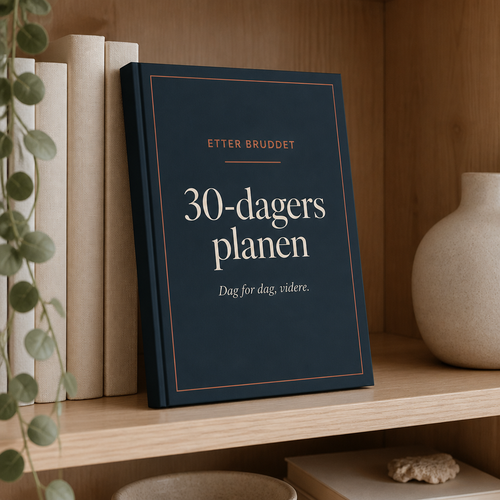 Etter Bruddet - 30 dagersplanen