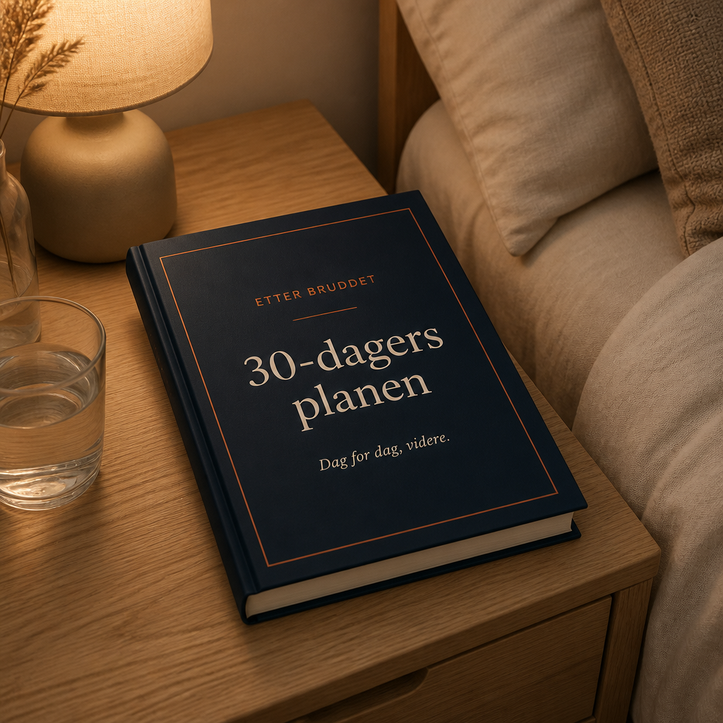 Etter Bruddet - 30 dagersplanen